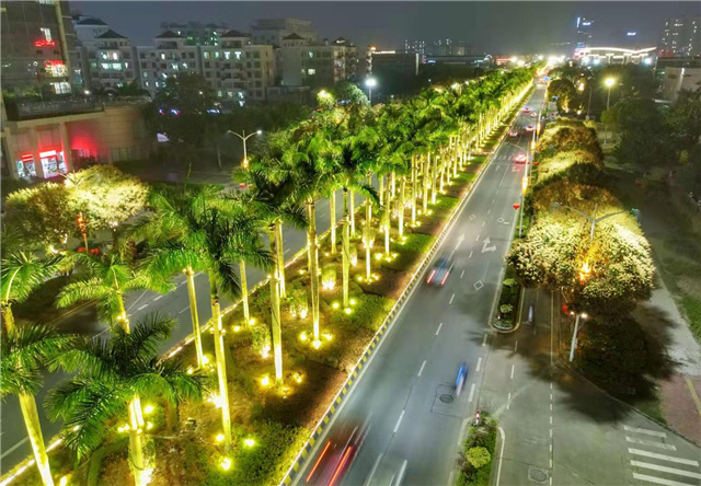 夜景“颜值”提升！中山完成城市道路亮化改造工程