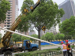 泰州市路灯管理处启动鼓楼路道路照明改造工程，助力城市道路照明升级