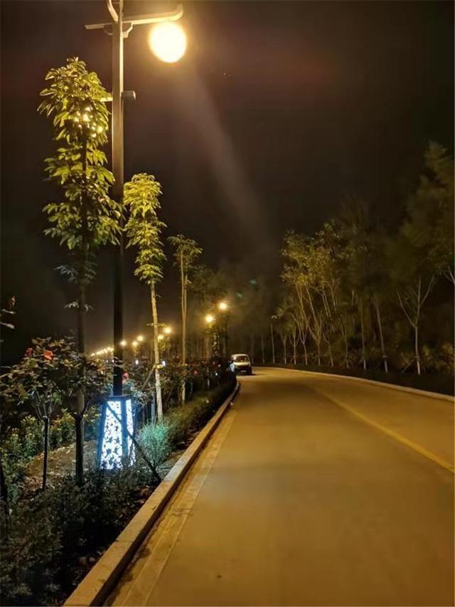 河南西峡:土槽村是如何破茧化蝶的?